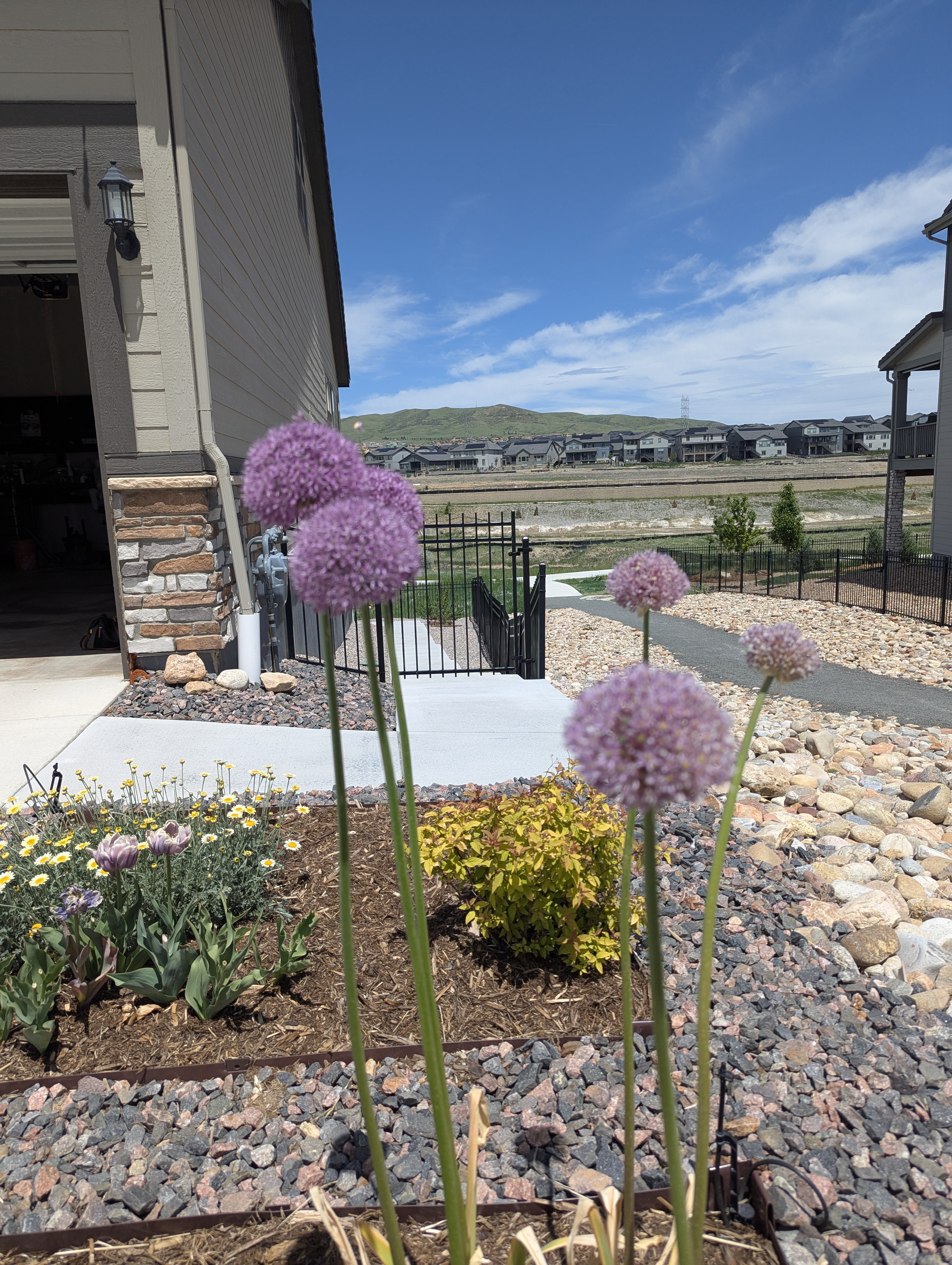 Garden, Flowers, Morrison, Colorado